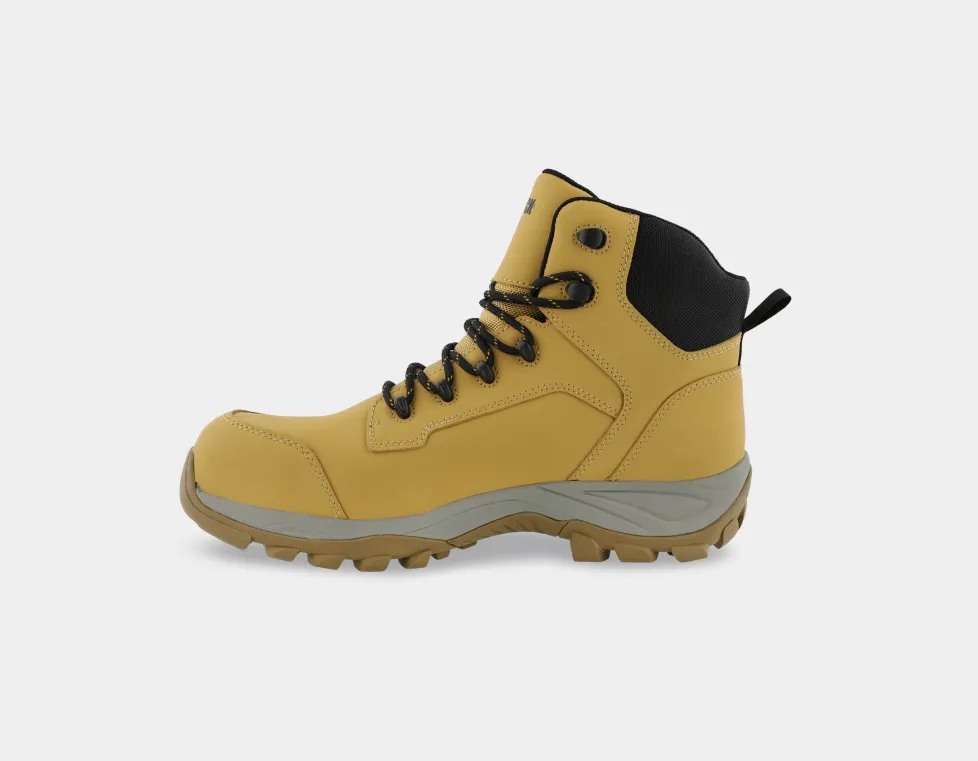 aris 3.webp