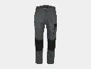 axo gris.webp