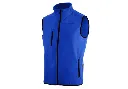 ARTIST_ROYAL_BLUE (1).webp