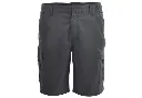 ANGUS_GREY (1).webp