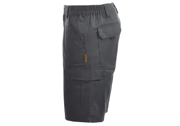ANGUS_GREY_2.webp