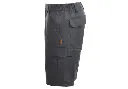 ANGUS_GREY_2.webp